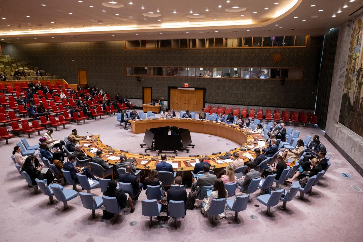 A wide view of the Security Council meeting on peace consolidation in West Africa.