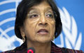 Pillay urges action to halt violations and lawlessness in Central African Republic