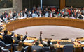 Security Council establishes UN peacekeeping mission in Central African Republic