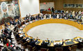 Centrafrique : le Conseil de Sécurité proroge d'un an le mandat du BINUCA
