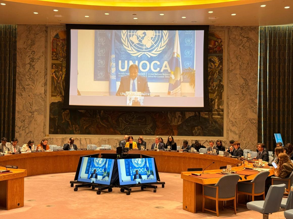 La présentation du rapport s’est faite par vidéoconférence  